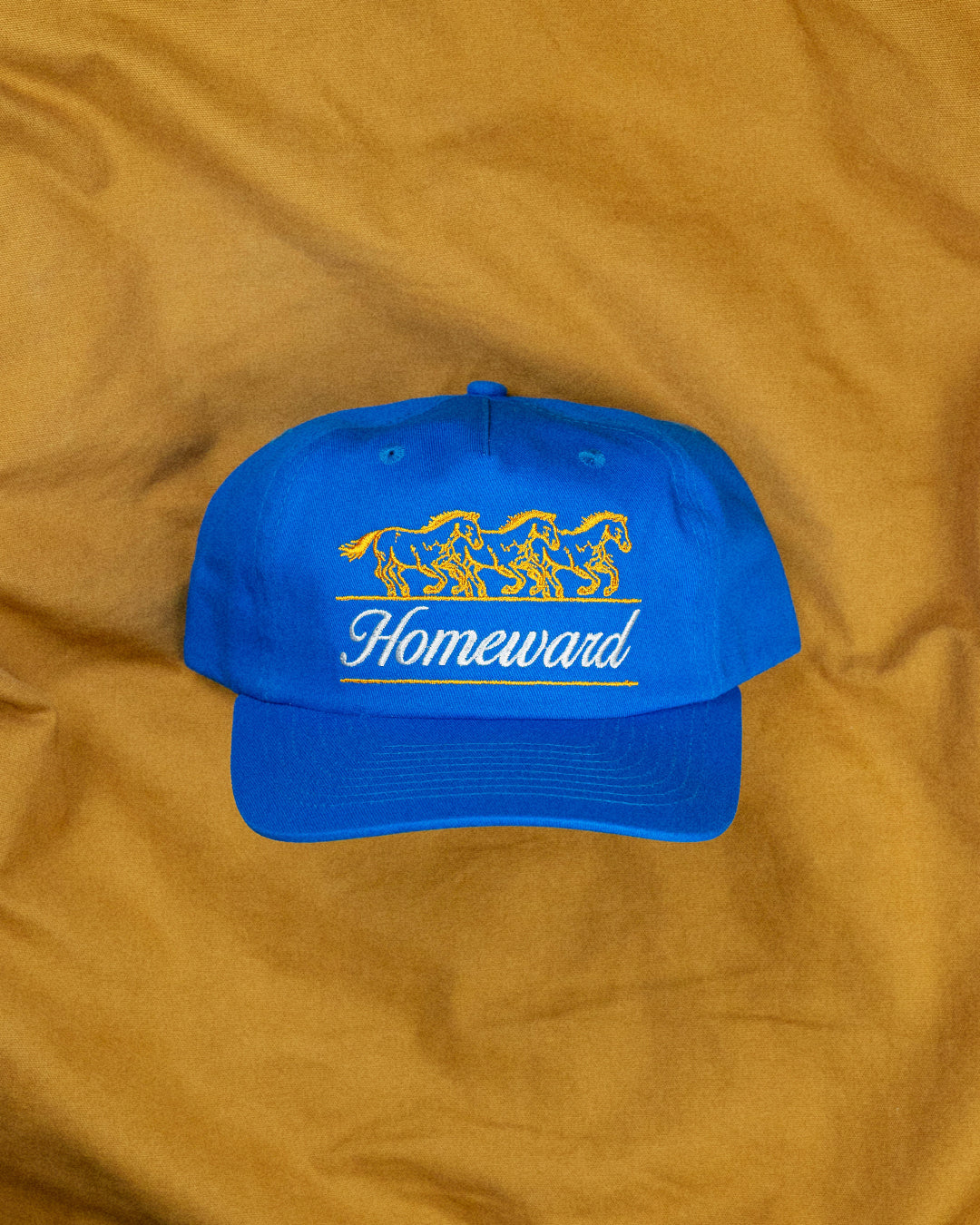 THE CHUCK SNAPBACK — ROYAL
