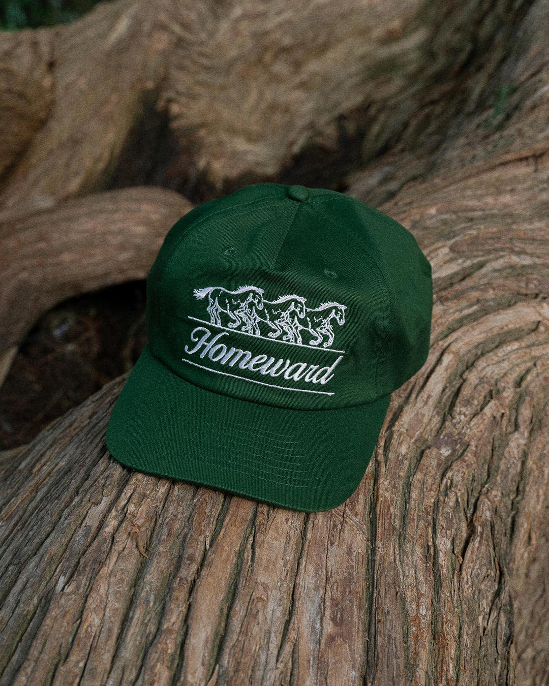 THE CHUCK SNAPBACK — PINE