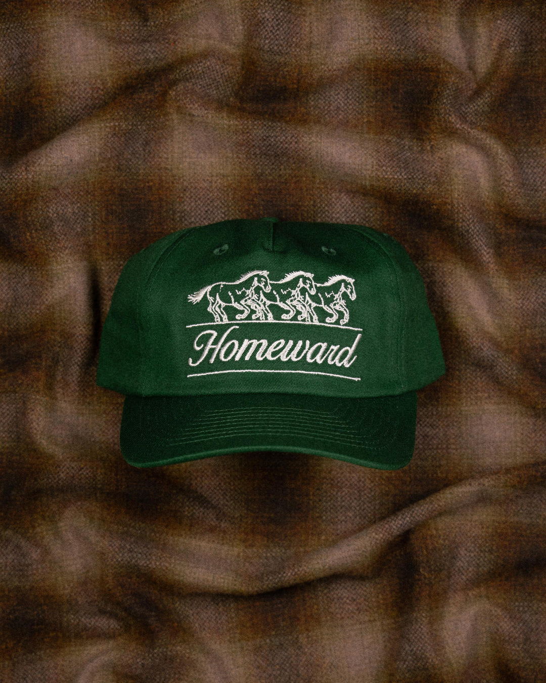 THE CHUCK SNAPBACK — PINE
